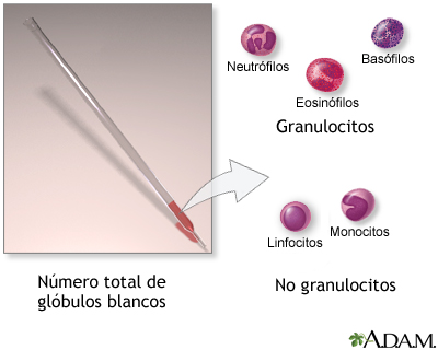 Conteo de glóbulos blancos - serie Conteo de glóbulos blancos - serie