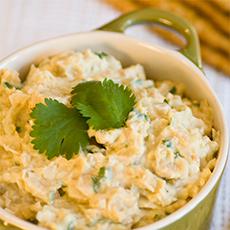 Lemony Garbanzo Bean Dip