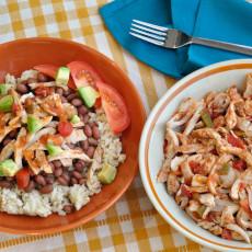 Salsa Chicken